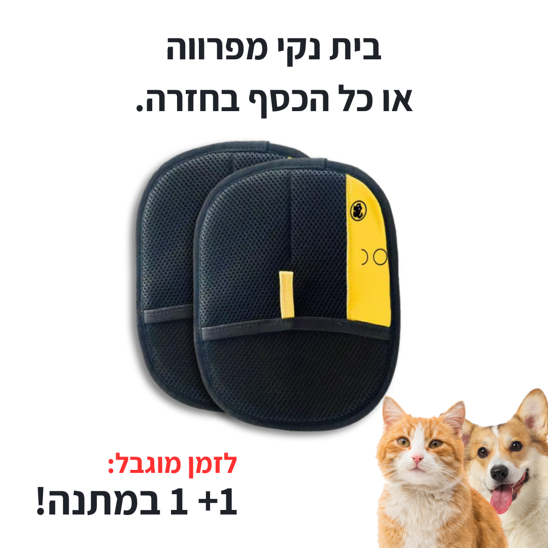 הכפפה של NOMEVO